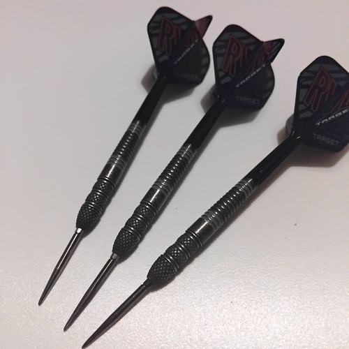 Target raymond van barneveld - target,