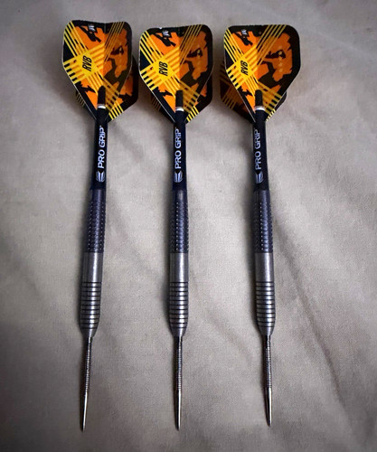 Raymond van barneveld 25g - raymond, gen