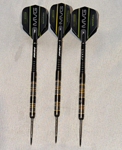 Michael van gerwen 21g - michael,